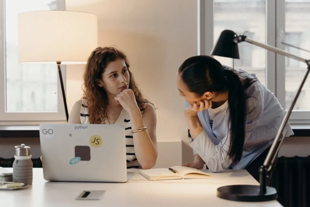 Cross-cultural team of software developers