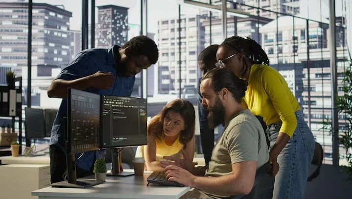 Software development team
