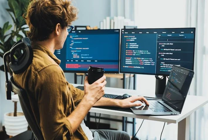 Software development